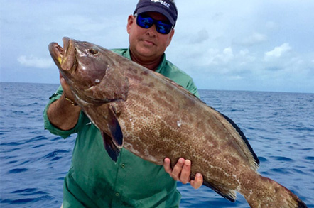 Great new summary of high caliber fishing